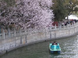 Jilin Songhua Lake In Spring